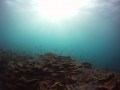 DCIM\100GOPRO