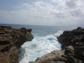 DSC00986