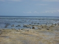 DSC01098