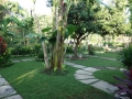 DSC00754
