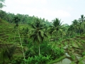 DSC01125