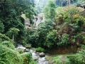 DSC01149