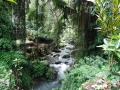 DSC01161
