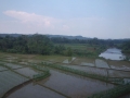 DSC00329