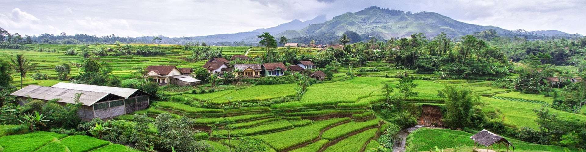 Indonesia 2014
