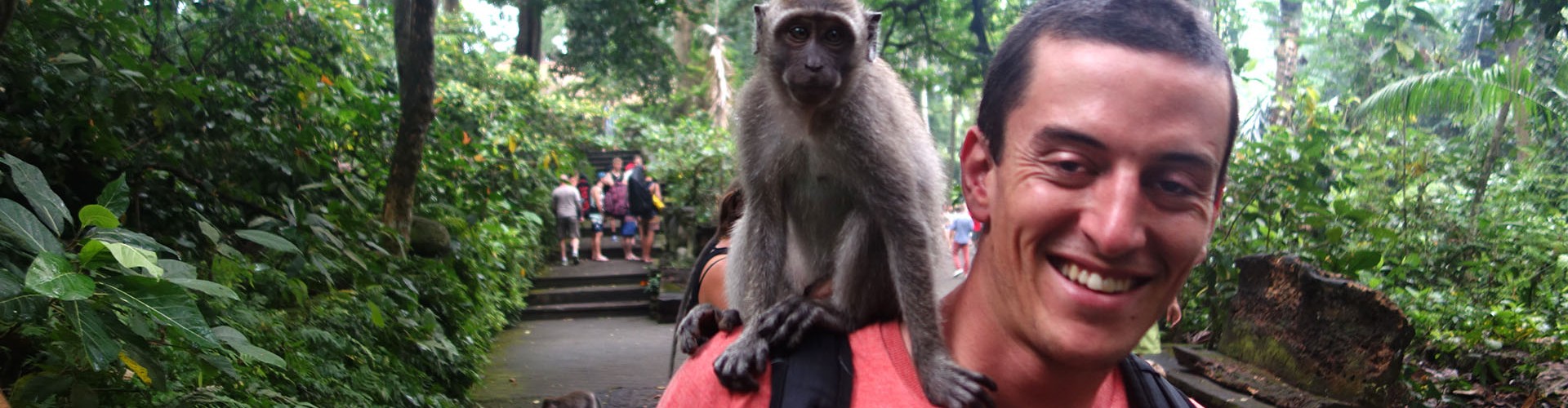 ubud1